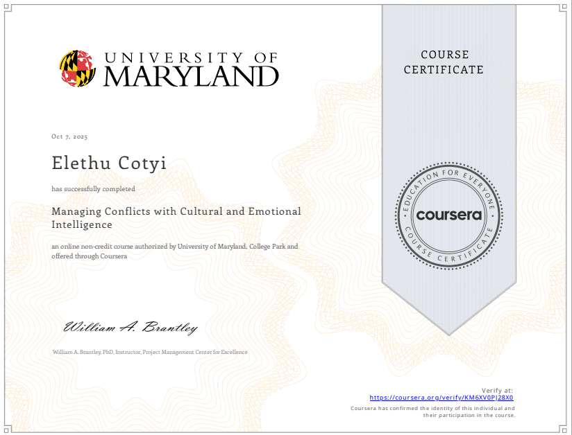 Professional Development Certificate 15